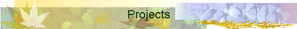 Projects