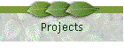 Projects