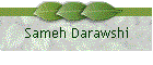 Sameh Darawshi