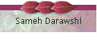 Sameh Darawshi