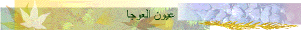 عيون العوجا