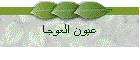 عيون العوجا