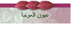 عيون العوجا