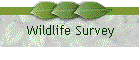 Wildlife Survey