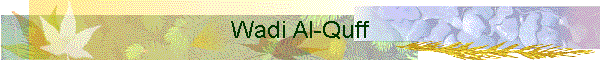 Wadi Al-Quff