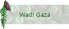 Wadi Gaza