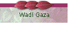 Wadi Gaza