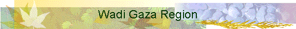 Wadi Gaza Region