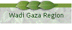 Wadi Gaza Region
