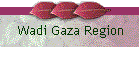 Wadi Gaza Region