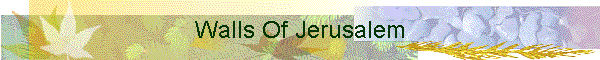 Walls Of Jerusalem