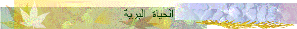 الحياة  البرية