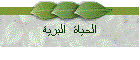 الحياة  البرية