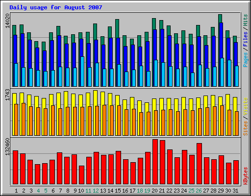 Daily usage for August 2007