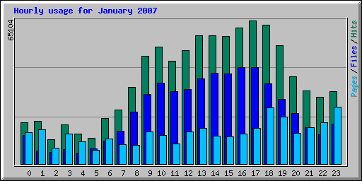 Hourly usage for January 2007