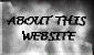 About this Website